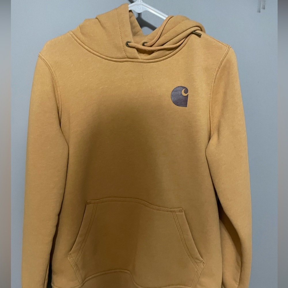 Cathartic hoodie